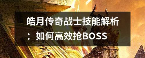 皓月传奇战士技能解析：如何高效抢BOSS