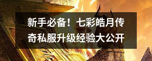 新手必备！七彩皓月传奇私服升级经验大公开