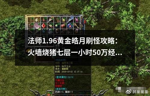 法师1.96黄金皓月刷怪攻略：火墙烧猪七层一小时50万经验