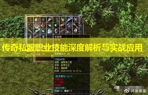 传奇私服职业技能深度解析与实战应用 传奇私服职业技能深度解析与实战应用
